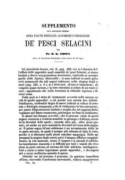 Il Giambattista Vico giornale scientifico fondato e pubblicato sotto gli auspici di Sua Altezza Reale il conte di Siracusa