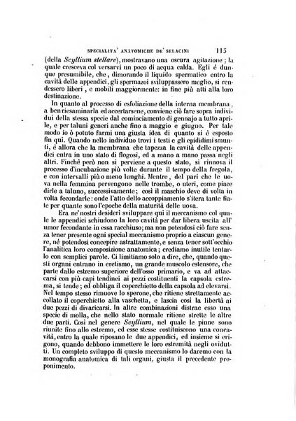 Il Giambattista Vico giornale scientifico fondato e pubblicato sotto gli auspici di Sua Altezza Reale il conte di Siracusa