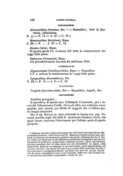 Il Giambattista Vico giornale scientifico fondato e pubblicato sotto gli auspici di Sua Altezza Reale il conte di Siracusa