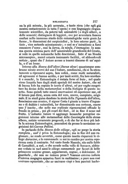 Il Giambattista Vico giornale scientifico fondato e pubblicato sotto gli auspici di Sua Altezza Reale il conte di Siracusa