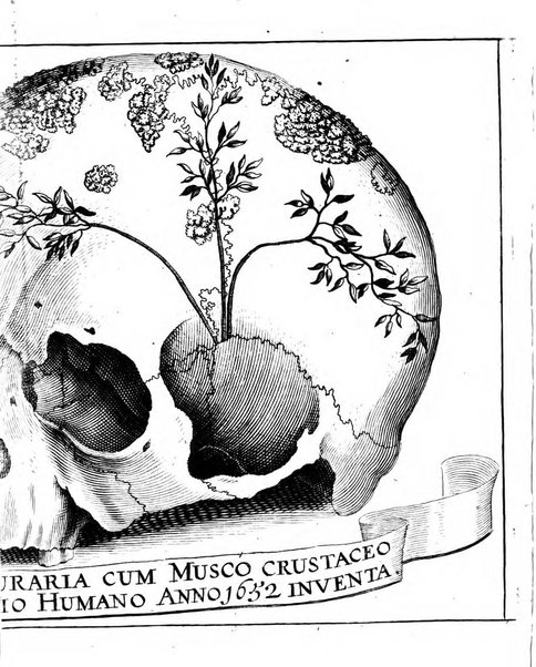 Miscellanea curiosa medico-physica Academiae naturae curiosorum sive ephemeridum medico-physicarum Germanicarum..