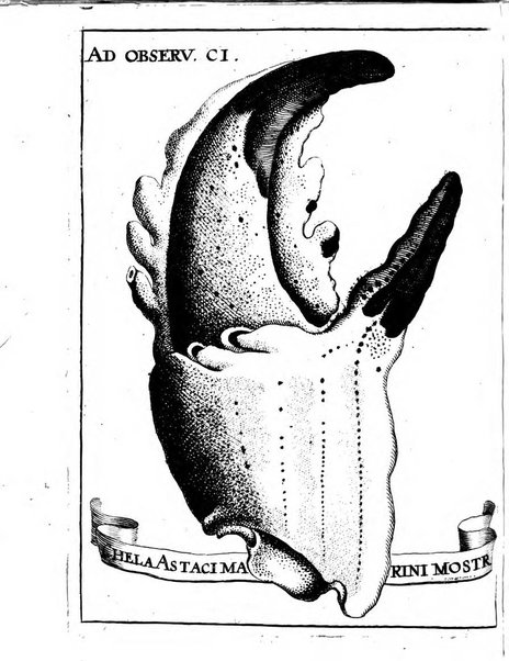 Miscellanea curiosa medico-physica Academiae naturae curiosorum sive ephemeridum medico-physicarum Germanicarum..