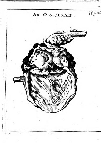 Miscellanea curiosa medico-physica Academiae naturae curiosorum sive ephemeridum medico-physicarum Germanicarum..