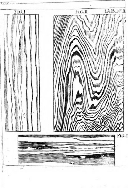 Miscellanea curiosa medico-physica Academiae naturae curiosorum sive ephemeridum medico-physicarum Germanicarum..