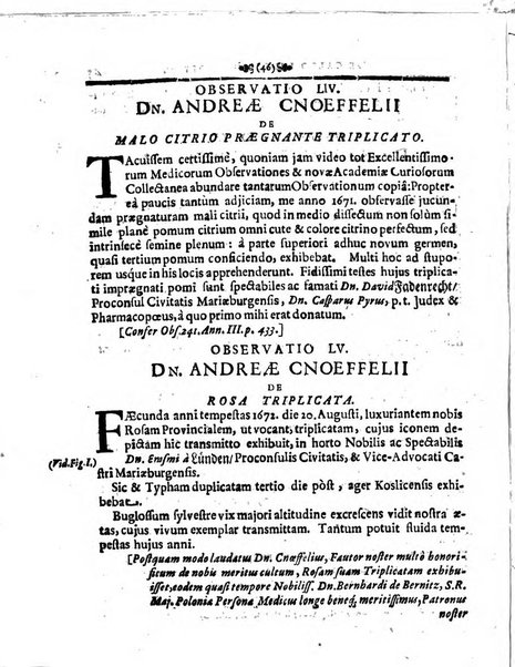 Miscellanea curiosa medico-physica Academiae naturae curiosorum sive ephemeridum medico-physicarum Germanicarum..