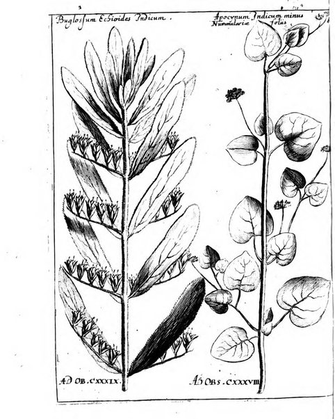 Miscellanea curiosa medico-physica Academiae naturae curiosorum sive ephemeridum medico-physicarum Germanicarum..