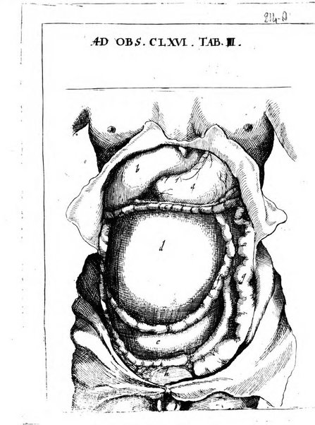 Miscellanea curiosa medico-physica Academiae naturae curiosorum sive ephemeridum medico-physicarum Germanicarum..