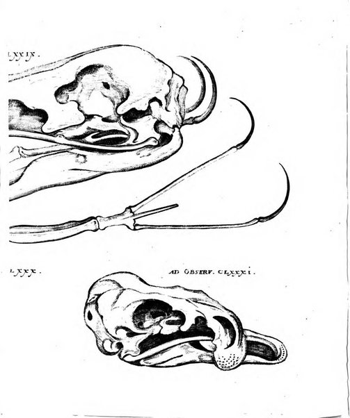 Miscellanea curiosa medico-physica Academiae naturae curiosorum sive ephemeridum medico-physicarum Germanicarum..