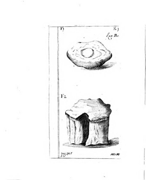 Miscellanea curiosa medico-physica Academiae naturae curiosorum sive ephemeridum medico-physicarum Germanicarum..