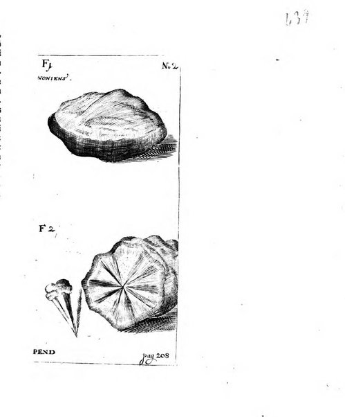 Miscellanea curiosa medico-physica Academiae naturae curiosorum sive ephemeridum medico-physicarum Germanicarum..