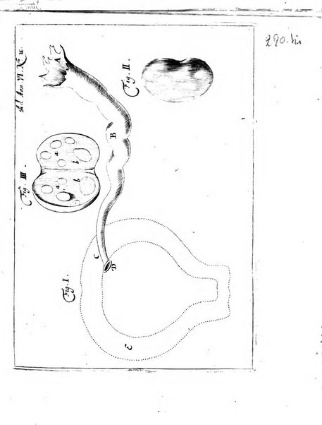 Miscellanea curiosa medico-physica Academiae naturae curiosorum sive ephemeridum medico-physicarum Germanicarum..