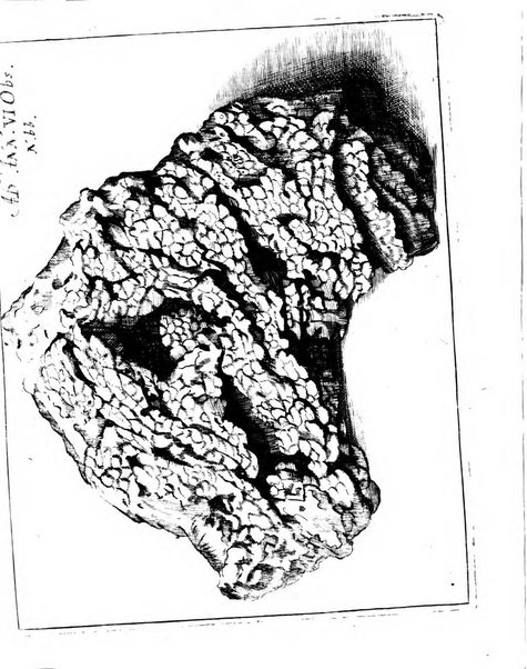 Miscellanea curiosa medico-physica Academiae naturae curiosorum sive ephemeridum medico-physicarum Germanicarum..