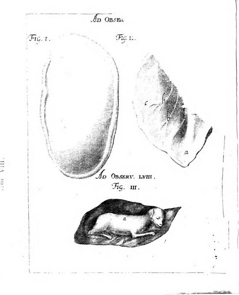 Miscellanea curiosa medico-physica Academiae naturae curiosorum sive ephemeridum medico-physicarum Germanicarum..