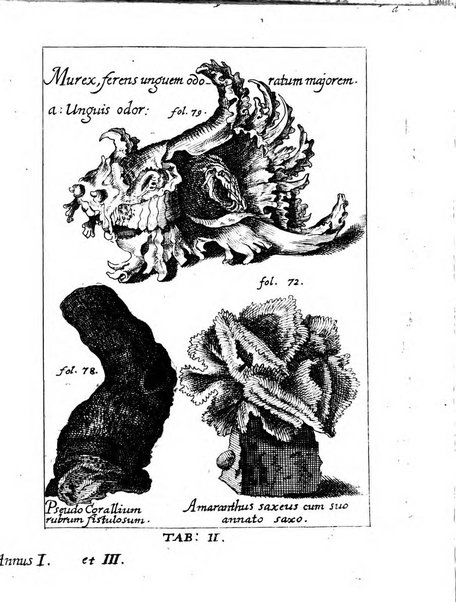 Miscellanea curiosa medico-physica Academiae naturae curiosorum sive ephemeridum medico-physicarum Germanicarum..