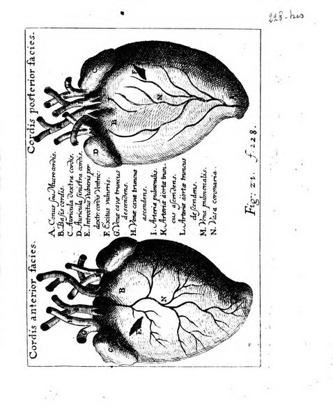 Miscellanea curiosa medico-physica Academiae naturae curiosorum sive ephemeridum medico-physicarum Germanicarum..