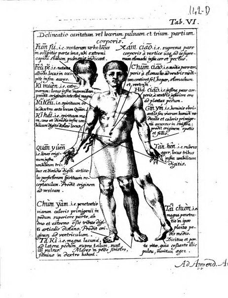 Miscellanea curiosa medico-physica Academiae naturae curiosorum sive ephemeridum medico-physicarum Germanicarum..