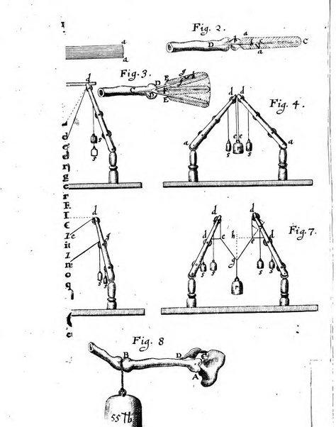 Miscellanea curiosa medico-physica Academiae naturae curiosorum sive ephemeridum medico-physicarum Germanicarum..