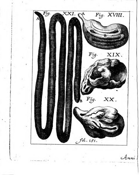 Miscellanea curiosa medico-physica Academiae naturae curiosorum sive ephemeridum medico-physicarum Germanicarum..