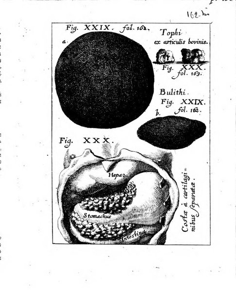 Miscellanea curiosa medico-physica Academiae naturae curiosorum sive ephemeridum medico-physicarum Germanicarum..