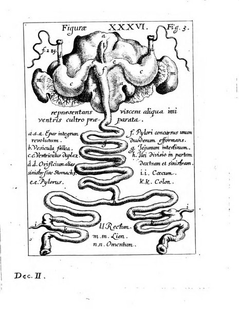 Miscellanea curiosa medico-physica Academiae naturae curiosorum sive ephemeridum medico-physicarum Germanicarum..