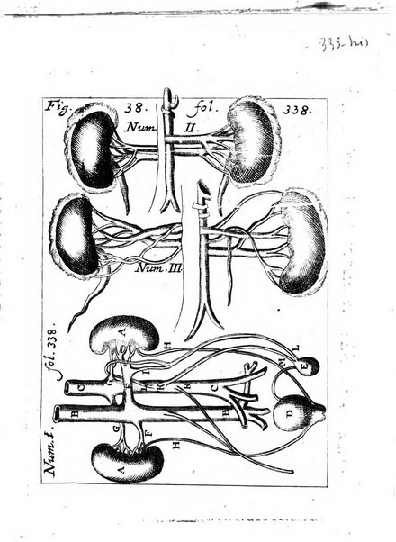 Miscellanea curiosa medico-physica Academiae naturae curiosorum sive ephemeridum medico-physicarum Germanicarum..