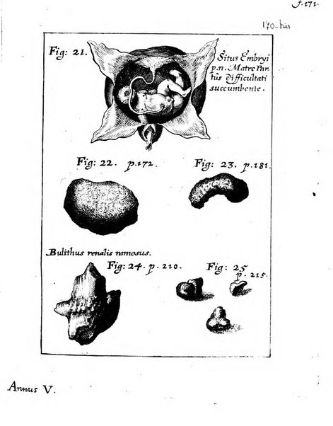 Miscellanea curiosa medico-physica Academiae naturae curiosorum sive ephemeridum medico-physicarum Germanicarum..