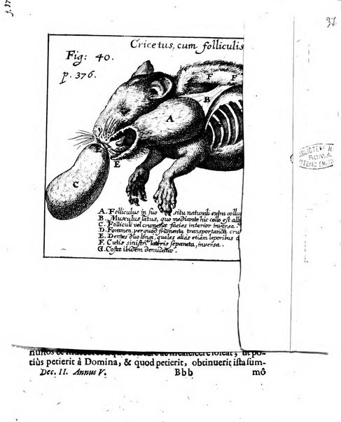 Miscellanea curiosa medico-physica Academiae naturae curiosorum sive ephemeridum medico-physicarum Germanicarum..