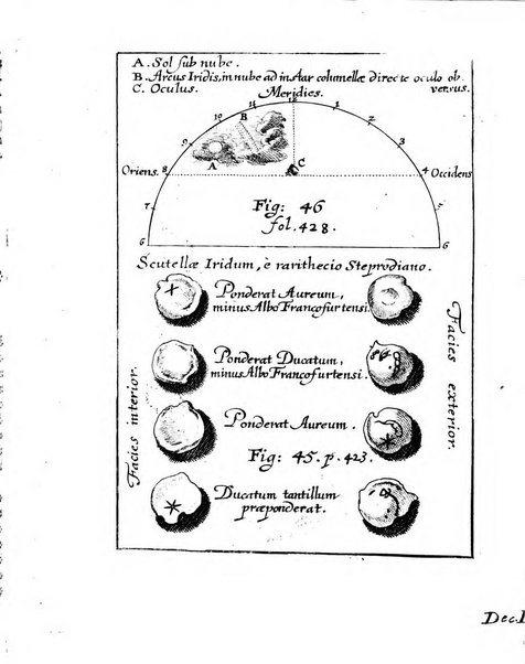 Miscellanea curiosa medico-physica Academiae naturae curiosorum sive ephemeridum medico-physicarum Germanicarum..