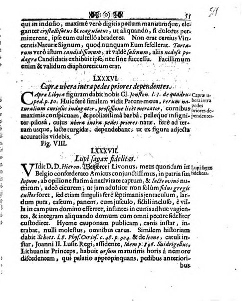 Miscellanea curiosa medico-physica Academiae naturae curiosorum sive ephemeridum medico-physicarum Germanicarum..