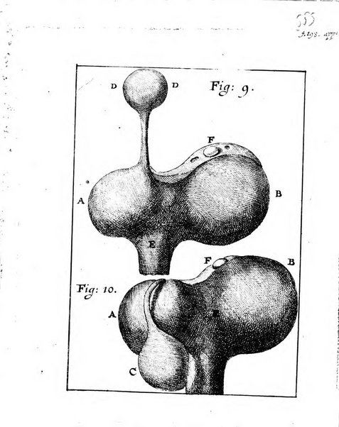 Miscellanea curiosa medico-physica Academiae naturae curiosorum sive ephemeridum medico-physicarum Germanicarum..