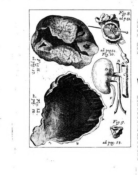 Miscellanea curiosa medico-physica Academiae naturae curiosorum sive ephemeridum medico-physicarum Germanicarum..