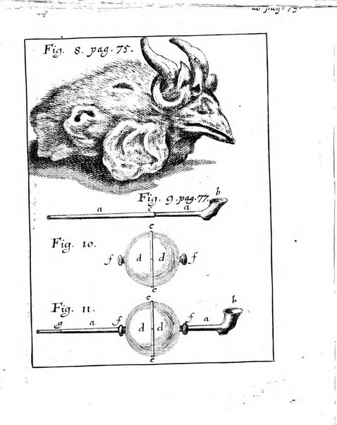 Miscellanea curiosa medico-physica Academiae naturae curiosorum sive ephemeridum medico-physicarum Germanicarum..