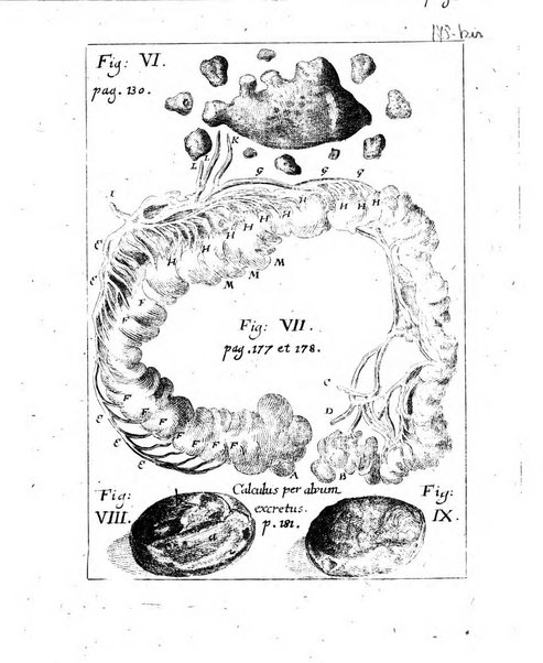 Miscellanea curiosa medico-physica Academiae naturae curiosorum sive ephemeridum medico-physicarum Germanicarum..