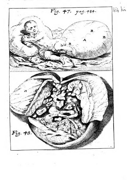 Miscellanea curiosa medico-physica Academiae naturae curiosorum sive ephemeridum medico-physicarum Germanicarum..