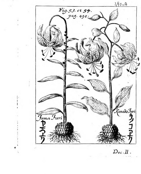 Miscellanea curiosa medico-physica Academiae naturae curiosorum sive ephemeridum medico-physicarum Germanicarum..