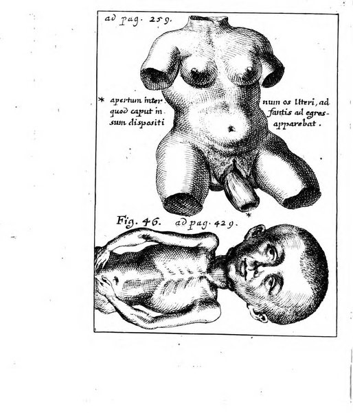 Miscellanea curiosa medico-physica Academiae naturae curiosorum sive ephemeridum medico-physicarum Germanicarum..