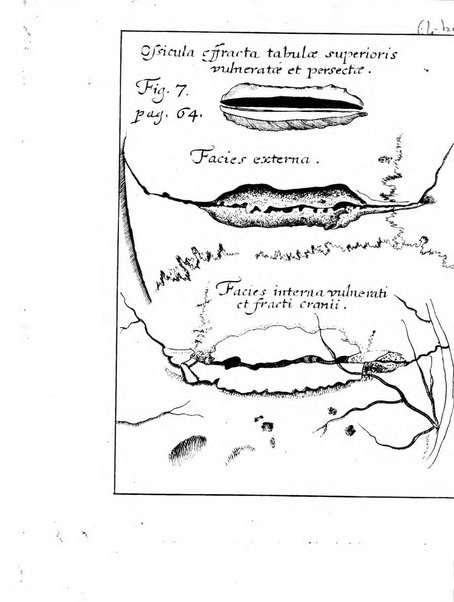 Miscellanea curiosa medico-physica Academiae naturae curiosorum sive ephemeridum medico-physicarum Germanicarum..