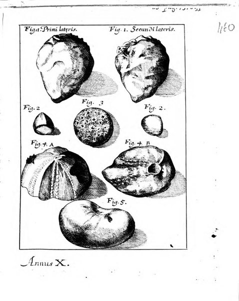 Miscellanea curiosa medico-physica Academiae naturae curiosorum sive ephemeridum medico-physicarum Germanicarum..