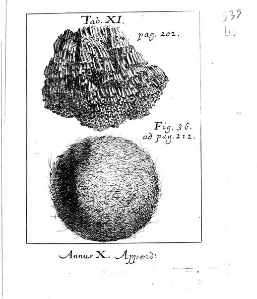 Miscellanea curiosa medico-physica Academiae naturae curiosorum sive ephemeridum medico-physicarum Germanicarum..