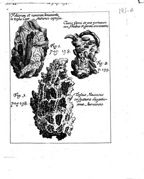 Miscellanea curiosa medico-physica Academiae naturae curiosorum sive ephemeridum medico-physicarum Germanicarum..