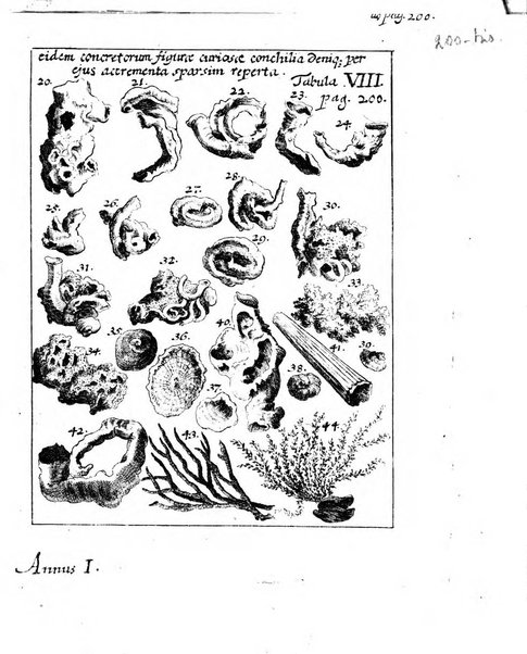 Miscellanea curiosa medico-physica Academiae naturae curiosorum sive ephemeridum medico-physicarum Germanicarum..