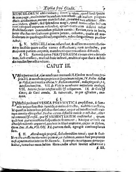 Miscellanea curiosa medico-physica Academiae naturae curiosorum sive ephemeridum medico-physicarum Germanicarum..