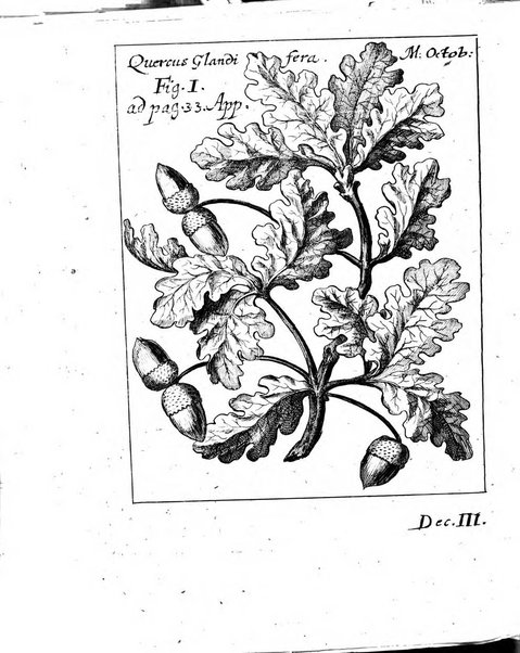 Miscellanea curiosa medico-physica Academiae naturae curiosorum sive ephemeridum medico-physicarum Germanicarum..