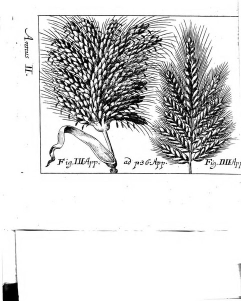 Miscellanea curiosa medico-physica Academiae naturae curiosorum sive ephemeridum medico-physicarum Germanicarum..