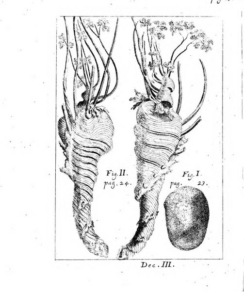 Miscellanea curiosa medico-physica Academiae naturae curiosorum sive ephemeridum medico-physicarum Germanicarum..