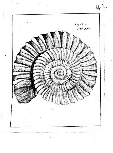 Miscellanea curiosa medico-physica Academiae naturae curiosorum sive ephemeridum medico-physicarum Germanicarum..