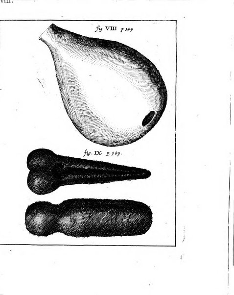 Miscellanea curiosa medico-physica Academiae naturae curiosorum sive ephemeridum medico-physicarum Germanicarum..