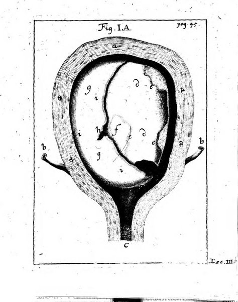 Miscellanea curiosa medico-physica Academiae naturae curiosorum sive ephemeridum medico-physicarum Germanicarum..