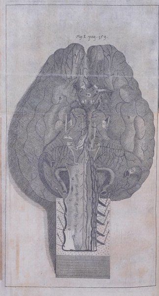 Miscellanea curiosa medico-physica Academiae naturae curiosorum sive ephemeridum medico-physicarum Germanicarum..