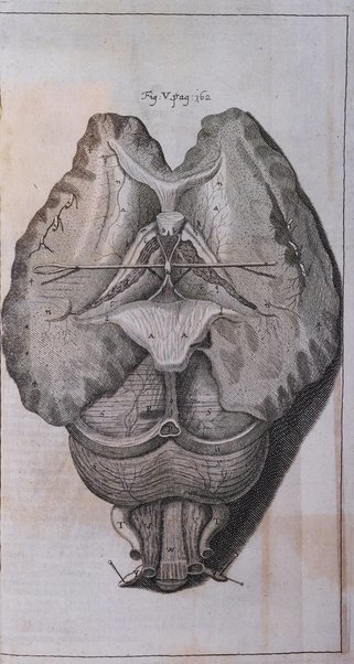 Miscellanea curiosa medico-physica Academiae naturae curiosorum sive ephemeridum medico-physicarum Germanicarum..